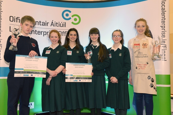 Fingal Student Enterprise Awards 2015